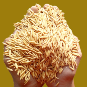 বাসমতী ধান বীজ